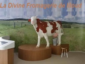 Divine Fromagerie BONGRAIN in Illoud France